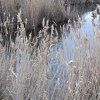 ANALYSIS OF METHODS FOR ASSESSING THE BOTTOM SEDIMENT QUALITY