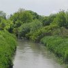 CURRENT STATUS AND MAIN TASKS FOR UPDATING REGULATORY PROVISIONS IN THE FIELD OF DESIGNING DRAINAGE ON IRRIGATED LANDS